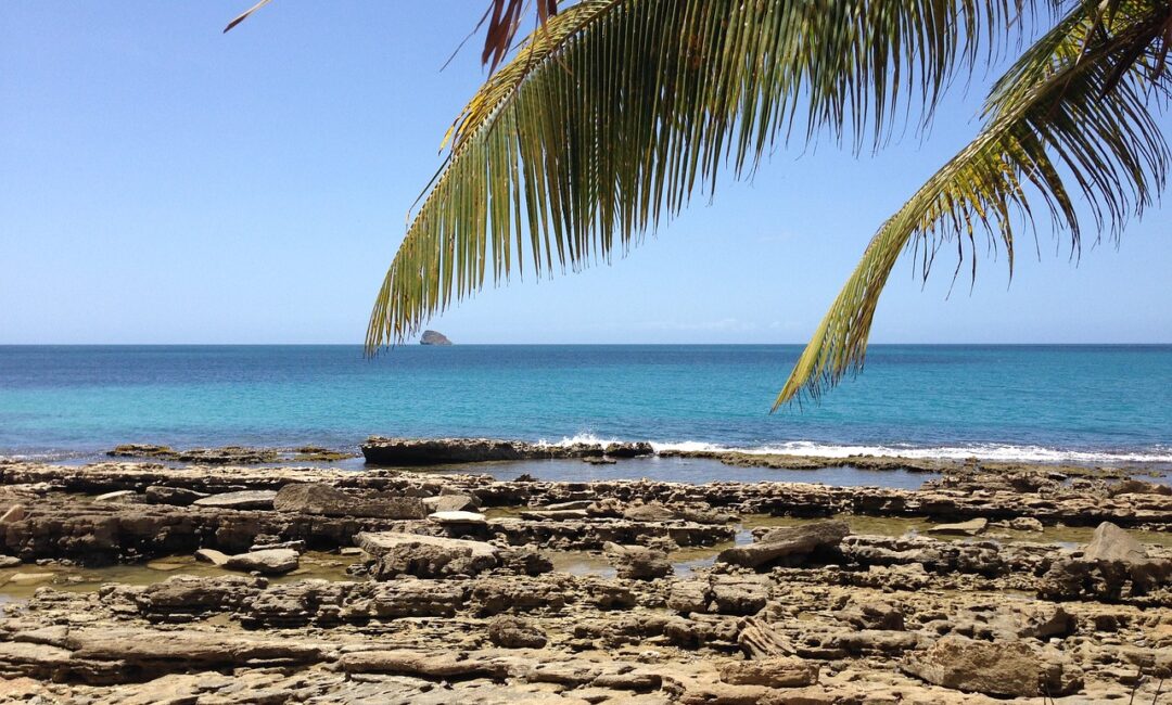 Voyage_en_Guadeloupe:_comment_tirer_le_meilleur_parti_de_votre_séjour_?